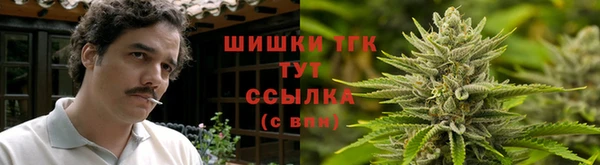 тгк Аркадак