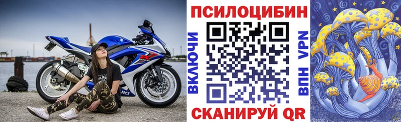 Галлюциногенные грибы мицелий  купить наркоту  Баксан 