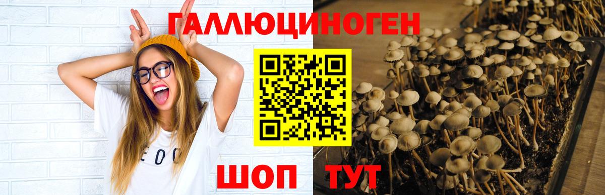 Галлюциногенные грибы MAGIC MUSHROOMS Баксан