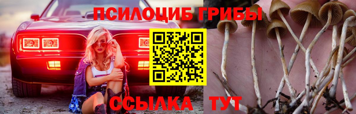 Галлюциногенные грибы мухоморы  где найти наркотики  Баксан  Псилоцибиновые грибы прущие грибы  Вход с VPN 
