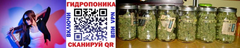 Каннабис марихуана Баксан